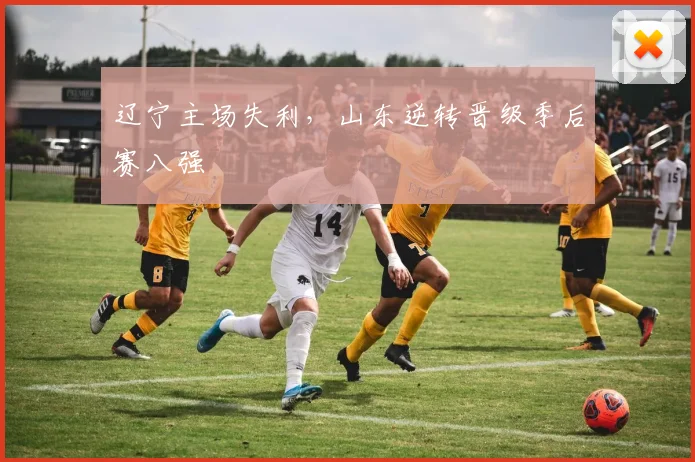 辽宁主场失利，山东逆转晋级季后赛八强