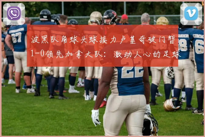 波黑队角球头球接力卢基奇破门暂1-0领先加拿大队：激动人心的足球较量